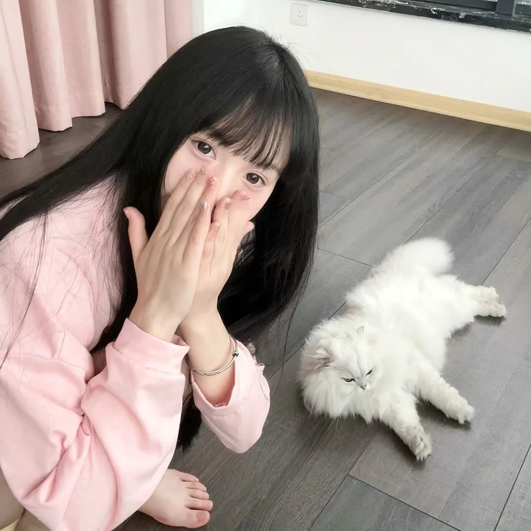 寻枪